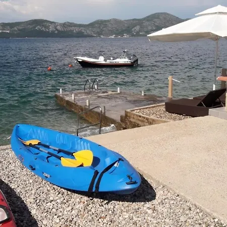 Dalmatino Janjina